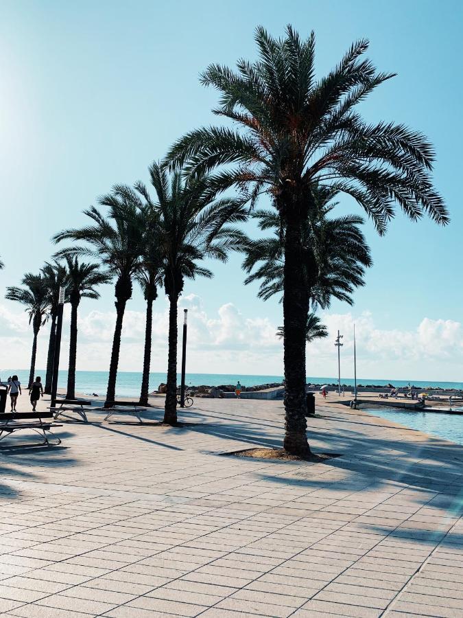 Your Spanish Home Torrevieja Dış mekan fotoğraf